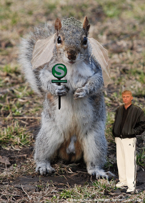 belko2