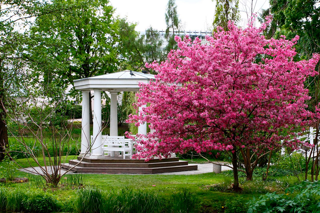 university-of-tartu-botanical-garden