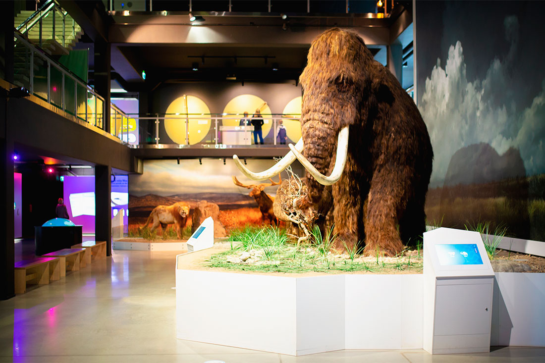 ice-age-center