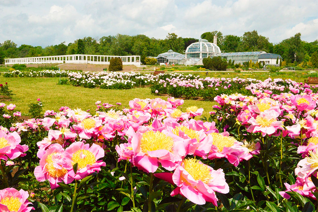 kaunas-botanical-garden