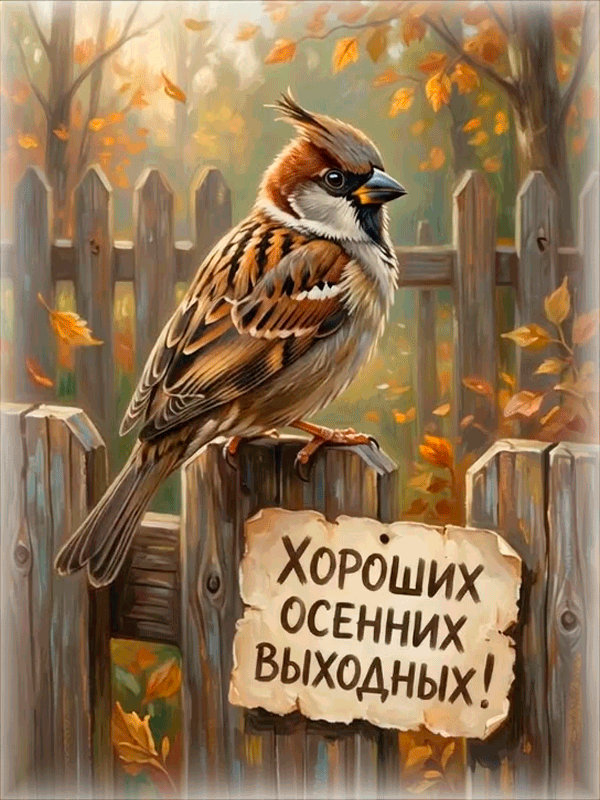 ХОРОШИХ ОСЕННИХ ВЫХОДНЫХ!