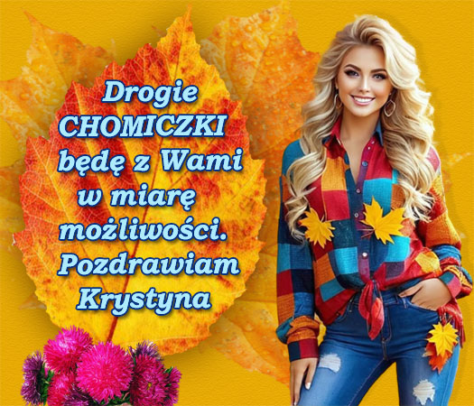 drogie-chomiczki