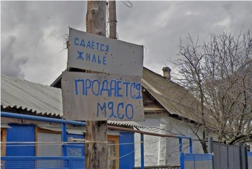 Снимок