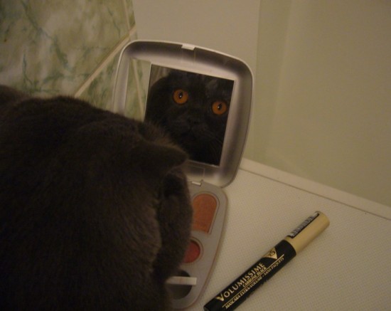 (2) make up