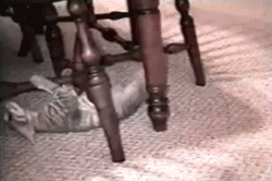 catgifpage32