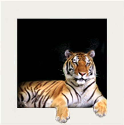 Ждём клиента