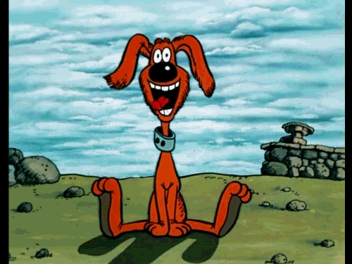 Dog