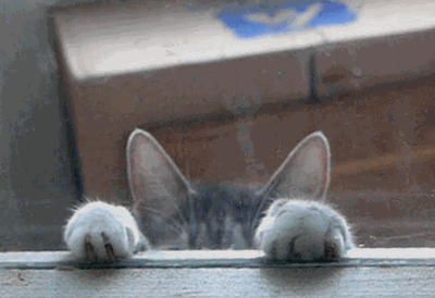 Котэ