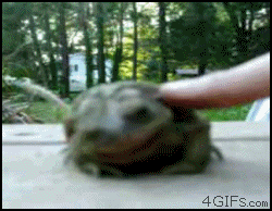 Frogtickledfeelsgoodman_yapfiles.ru