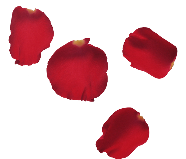 1160