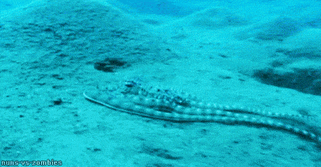 5827_c69f