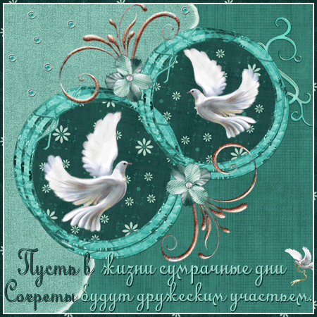19.003