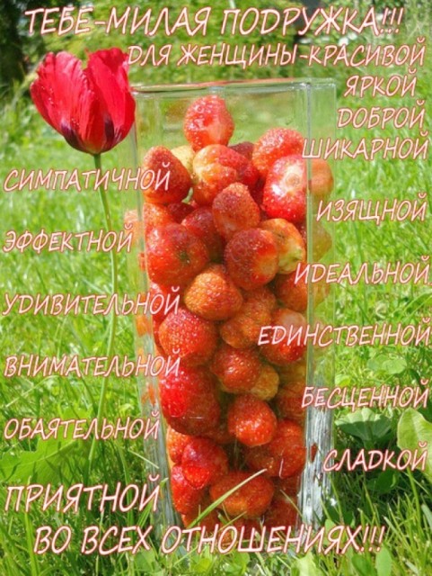 19.023