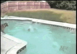 54232826_cool_gif