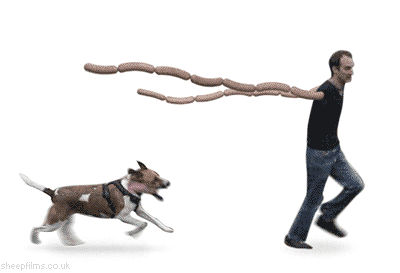 _DOG_1_20120526113258_20120526215157