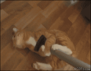 tumblr_m4rz1h2Lw21qdlh1io1_400