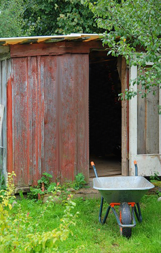 летун-пусто