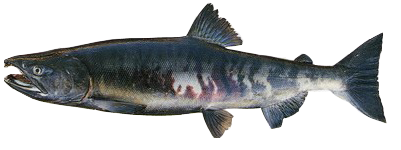 8c21ecf5b74526496d9d4ac23ff2aa4b