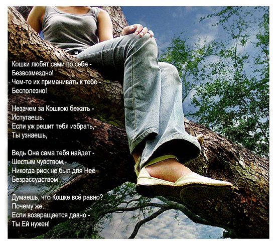 28.001