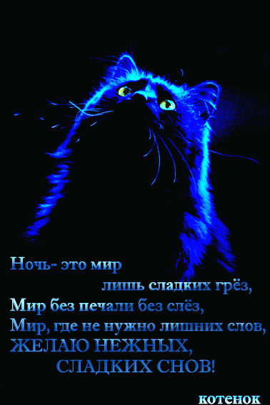28.038