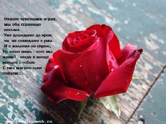 красивая открытка про чувства уже