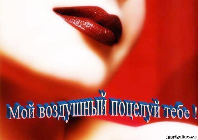 Пдд, картинки для мужчины целую тебя