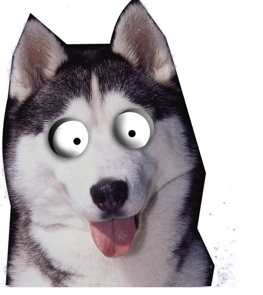 2 копия