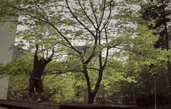 gifs_2_16