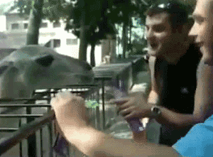 плевок