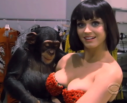 гифки-сиськи-обезьяна-Katy-Perry-129559
