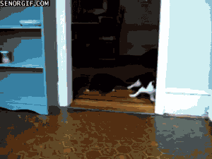 котэ
