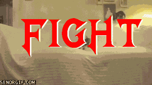 funnygifscatkombat