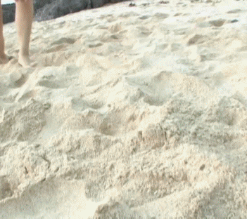 96da1e39d3da5d5d683ad61a5776fabc