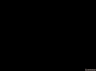 муравьед-2