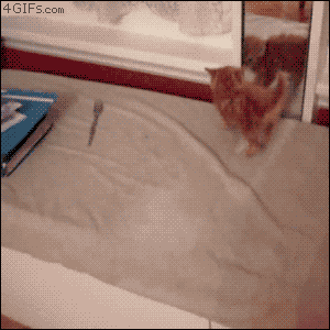 tumblr_m5juspg9lu1qdlh1io1_400