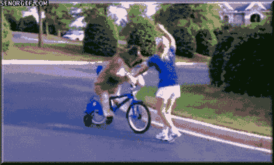 funny-gifs-dog-rides-a-bicycle