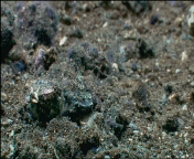 VTS_03_1 (4)
