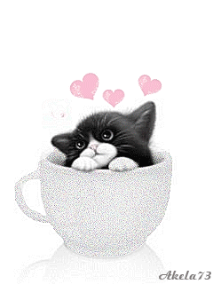 котя