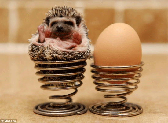 post-3-12550840184894