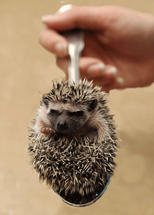 post-3-12550840298918