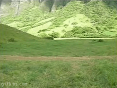 песочница-идиоты-велосипед-гифки-94936