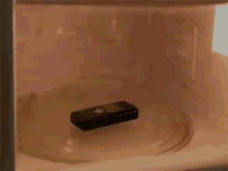 Fungif_17