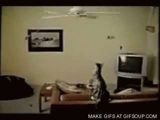 0_687c6_511dc62b_orig