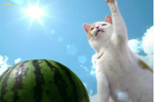 26682480796702_tumblr_lzz4w7v5vx1r2rfyso1_500