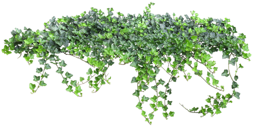 0_7aba6_2fdc7359_XXL