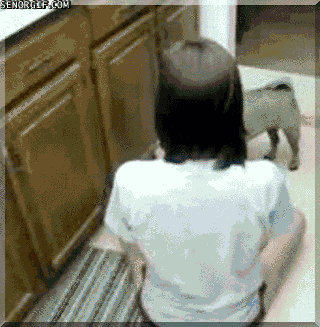 funny-gifs-the-kitchen-needs