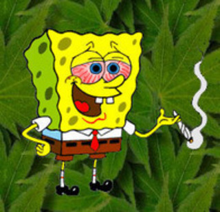 sponge1