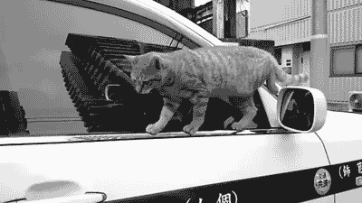 tumblr_m7yct8jIfA1qbyxr0o1_400