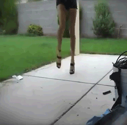Fungif_22