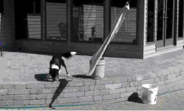 shadowjumping